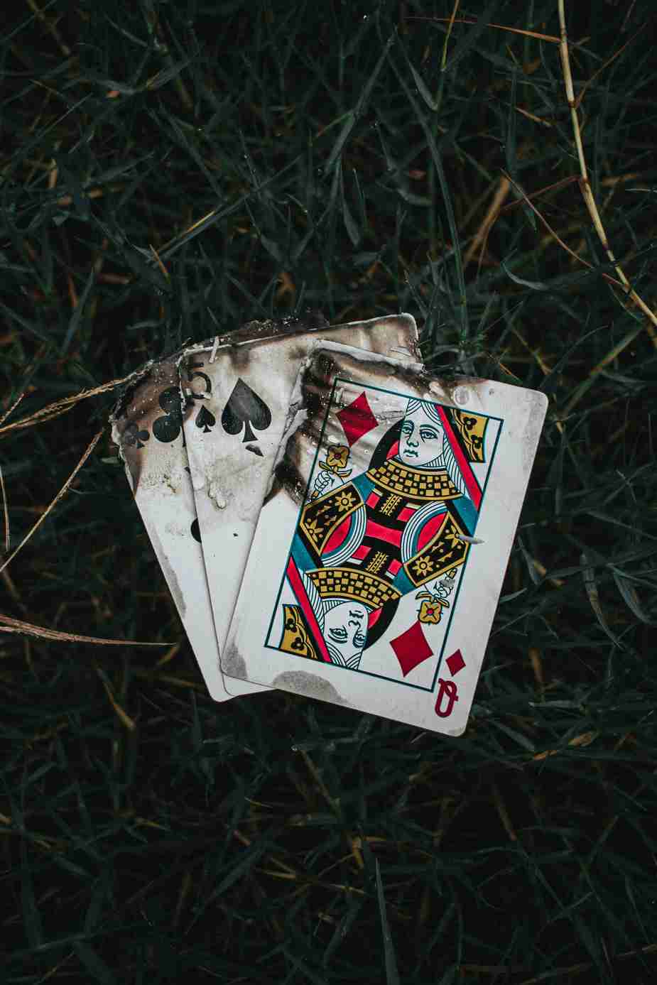 goldex casino Australia